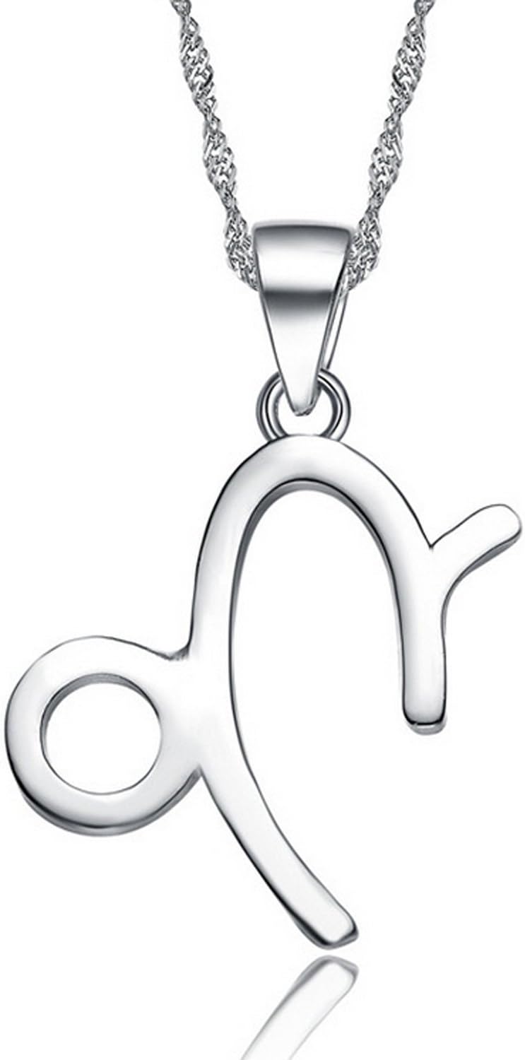 HACOOL 925 Sterling Silver 12 Constellation Horoscope Necklace Pendant Jewelry 16" to 18" Chain
