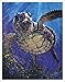 60x80 Blanket Comfort Warmth Soft Plush Throw for Couch Sea Turtle Fine Decorative Animal