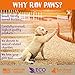 Raw Paws USA Natural Dried Sweet Potato Dog Treats, 6-oz - Vegan, Vegetarian - Grain Free Dog Sweet Potato Treats - Low Calorie Sweet Potato for Dogs - Mini Crunchy Dog Treats - Puppy Training Treats