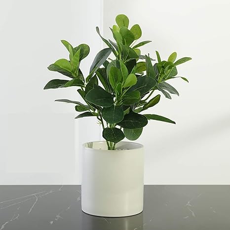 Amazon フェイクグリーン 緑 葉 リアル インテリア 人工観葉植物 置物 花瓶付き 枯れないグリーン 北欧 陶器 茎シート付 飾り 装飾 ホーム オフィス 光触媒 Ct触媒 玄関 ダイニング 人工観葉植物 オンライン通販
