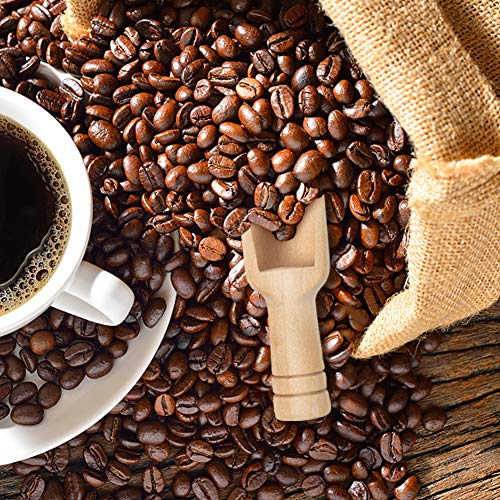 HANSGO Mini Wooden Spoons, 20PCS 3 Inch Mini Bath Salt Spoon, Wooden Candy Spoon, Washing Powder Spoon,Spice Spoons