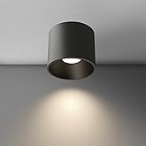 byanqi Modern Ceiling Spot Light Fixture, Dimmable Flush Mount Light 4.72'' Cylinder for Living Room, Hallway, Foyer, Dining 