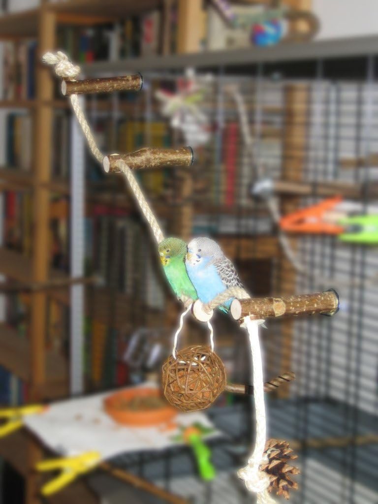Vogelgaleria Sisal Climbing Rope for Birds with 3 Perches and Tasty Rings to Nibble …, Hazel Brown, Länge ca. 80cm, Seildicke 1cm - Image 3