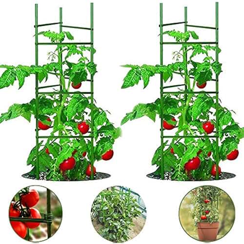 tomato cages