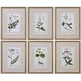 Uttermost Green Floral Botanical Study 6-Piece 22 3/4" H Wall Art Set