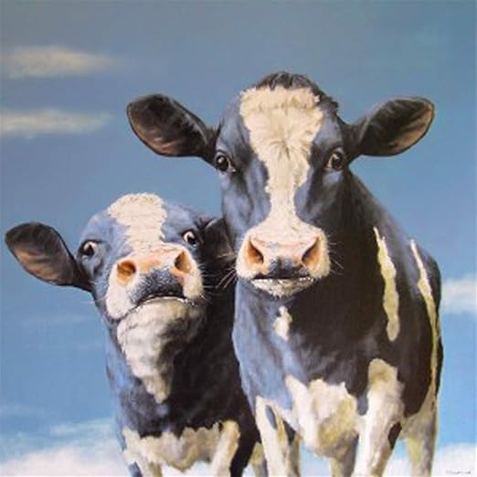 PaintbyNumber Kits for Adults Cows Includes Brushes