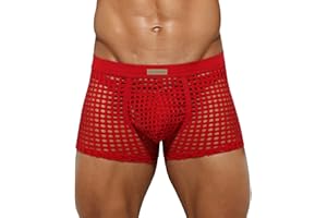 Arjen Kroos Men's Sexy Trunks Sheer Mesh Underwear Novelty Low Rise Lingerie
