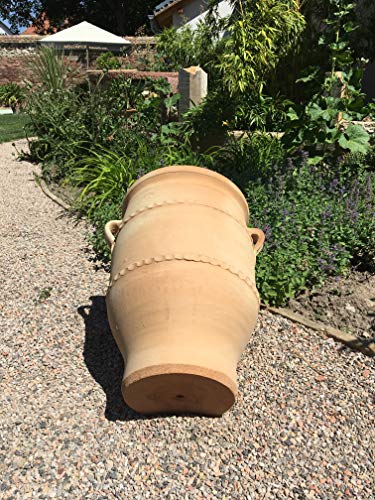 Palatina-Keramik | Terracotta Amphore | 50 cm | Pflanzkübel, Pflanzgefäß, Balkon, Garten, Terrasse Thymus 2 – Bild 8