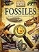 Fossiles : Un monde extraordinaire à explorer à la loupe by 