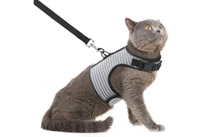 PUPTECK Soft Mesh Cat Vest Harness and Leash Set Puppy Padded Pet Harnesses Escape Proof for Cats Small Dogs