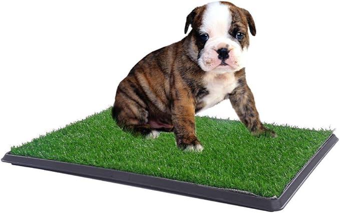 amazon dog grass pad