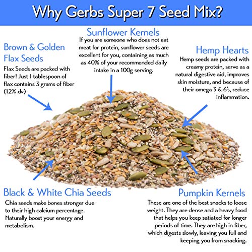 GERBS Raw Super 7 Seed Snack Mix 1 LB. Top 14 Food Allergy Free