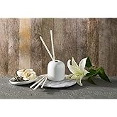 Westin Hotels - White Tea Scent Sticks - Aromatherapy Diffuser - Set of 5 Biodegradable, pre-Scented Rattan Reeds