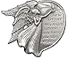 Angelstar 15728 Metal Visor Clip, 2-1/2-Inch, New Driver, Gray
