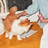 KatKin Salmon Fillet Freeze-Dried Cat Treats 50g UK Pack of 4 view 5