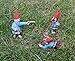 Zombie Gnomes: Collection