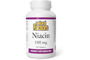 Natural Factors Vitamin B3 100 mg, 90 Tablets, Nicotinic Acid (Niacin), Helps to Metabolize Fats, Proteins & Carbohydrates, P