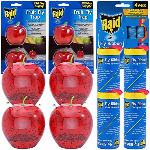 Raid 4 Fruit Fly Trap & 4 Fly Ribbon Fly Strips Fly Traps for Indoors