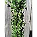 Unilove 168 feet Fake Foliage Garland Leaves Decoration Artificial Greenery Ivy Vine Plants for Home Decor Indoor Outdoors (Ivy Leaves)