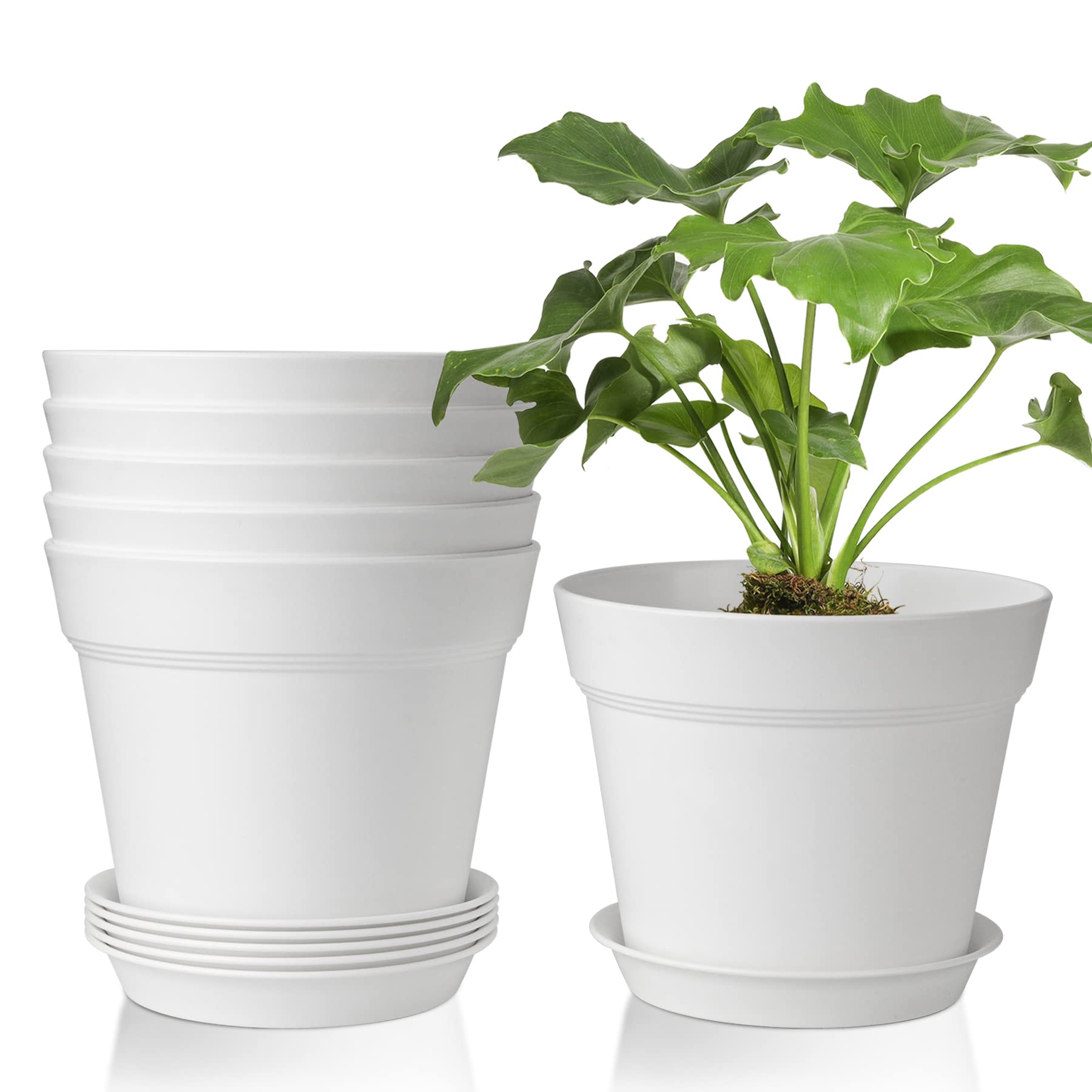 T4U 17CM Plastic Plant Pots 6-Pack, Large Flower Planter with Drainage Hole and Saucer, Classic Indoor Outdoor White Plant Pots for Orchid, Penoy, Rose, Snake Plant, Aloe, Tulips, Peace Lily