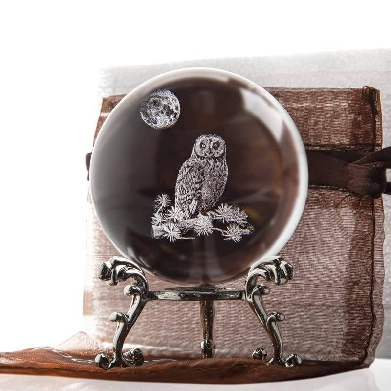 View 4