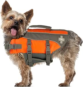 x small dog life jacket