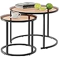 aboxoo Nesting Coffee Table Set of 2, Small Round Glass Nesting Tables for Living Room Bedroom, Accent Tea Table with Metal Frame Modern Industrial Simple