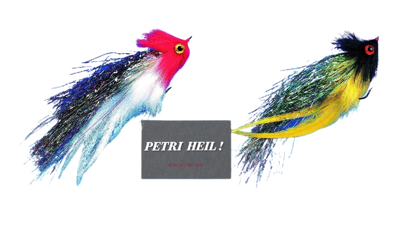 Set of 2 Jenzi Predatory Fish Streamer with Eye Approx. 17 cm 6/0 Hooks + Free Petri Heil! Sticker