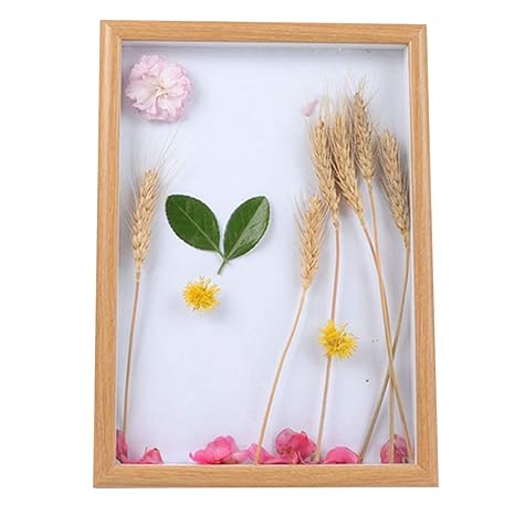 Buy Outgeek Shadow Box Frame Decorative Display Shadow Box Picture