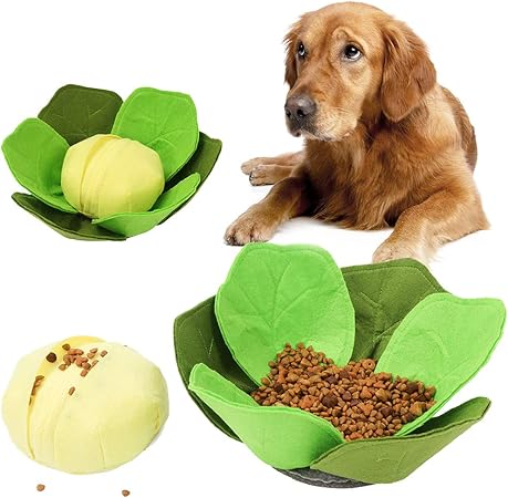 canine nosework supplies