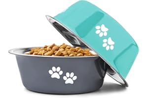 YUDANSI Stainless Steel Dog Bowls 2 Pack Small Medium Dogs Feeding Food Water Bowl with Non-Slip Silicone Sole, Stainless Steel Dog Dishes Elevated Raised Pet Feeder(Green+Grey, M(3.6 Cups)