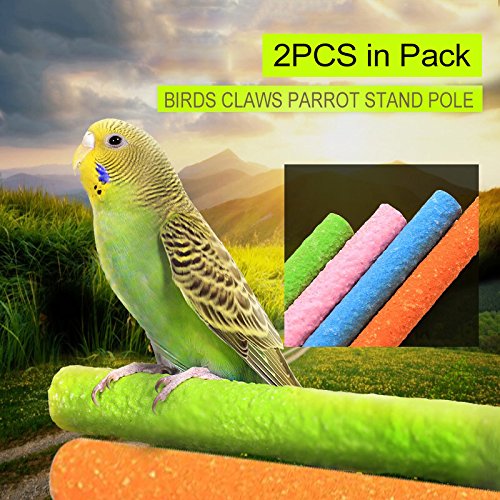 Borange Bird Perch Parrot Stand Parakeet Natural Wood Rough Sand Perches Grinding Nail Small Medium Birds Parakeet Cockatiels Conure Cage Accessories Pack of 2 (20cm/8inch)