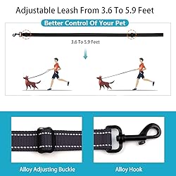 Reflective Dog Collar and Leash Set with Safety