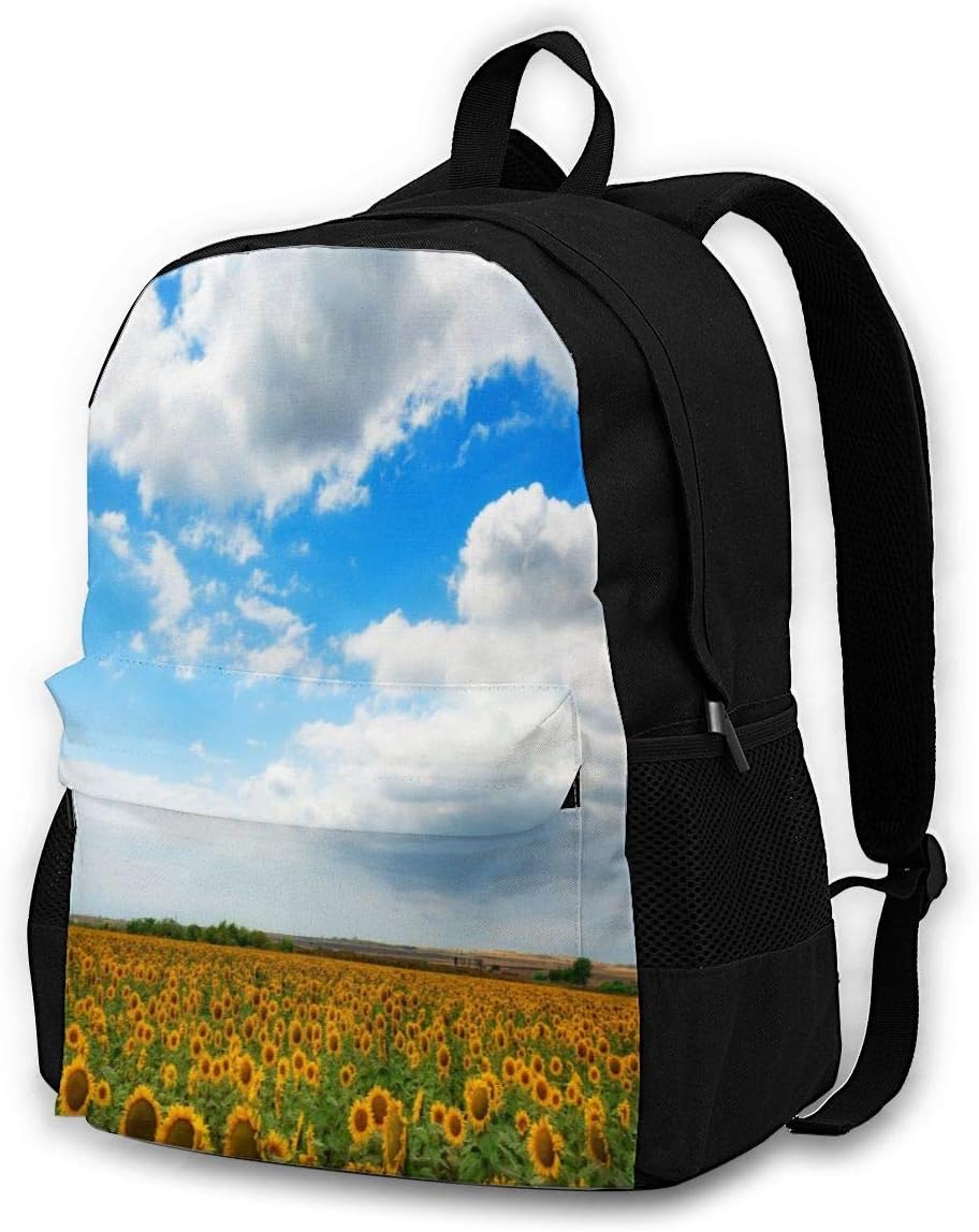 sky bag college bag price