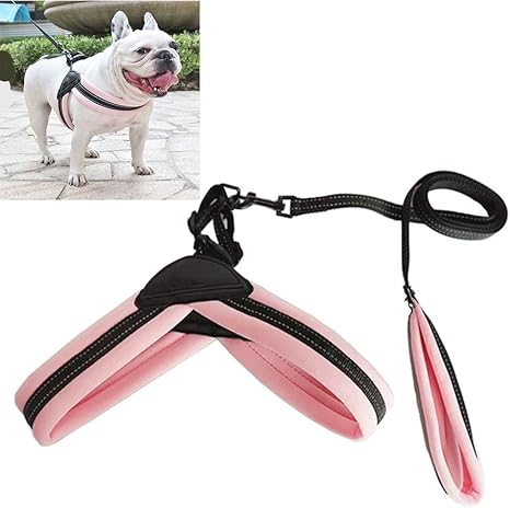 Amazon Co Jp ハーネスリード 犬のリードロープ 犬用自動リード パーソナライズされた犬の首輪 クイックリリースバックル付き 猫のランニングに適し 子犬やウサギに適しています ピンク S ホーム キッチン