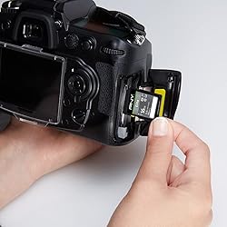 PNY 16GB Elite Class 10 U1 V10 SDHC Flash Memory