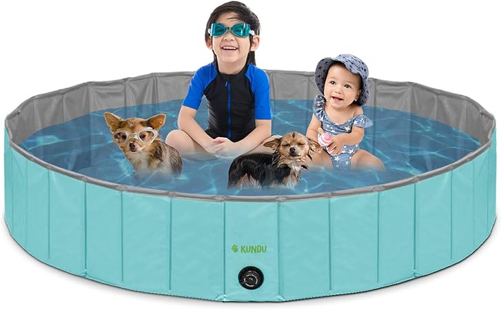 deep dog pool