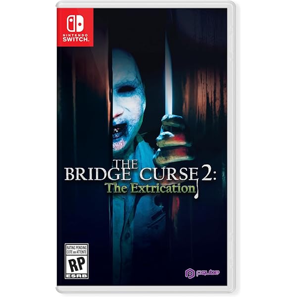 Amazon.com: The Bridge Curse: Road to Salvation : Everything Else