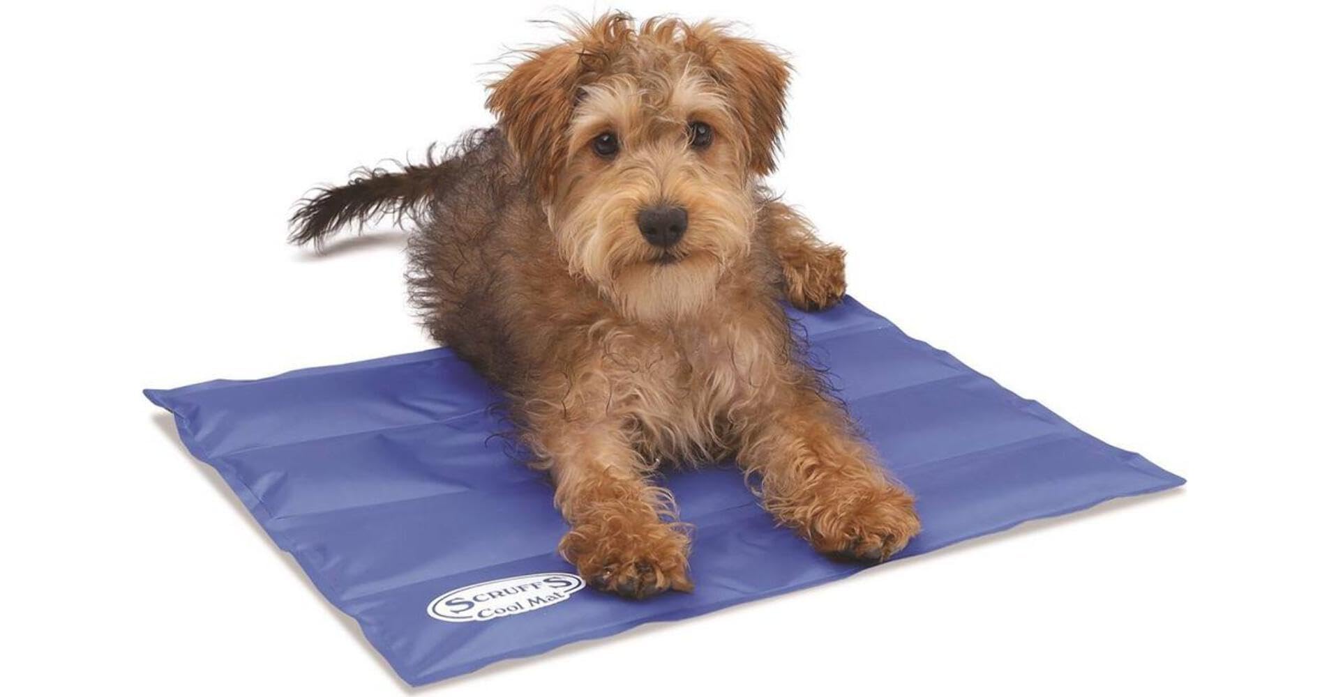Scruffs Self-Cooling Mat (S) Blue