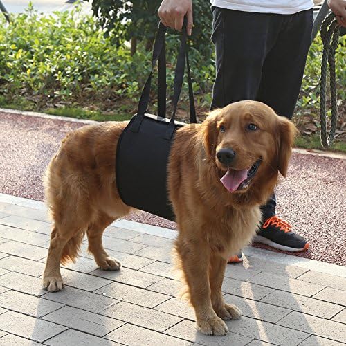 Ohkuu Dog Lift Harness,Sling Lift Support Harness with Handle Helps Dogs with Arthritis or Weak Rear Legs Stand Up,Walk,Get Into Car,Climb Stairs Fit For Medium and Large Breed Dogs Black