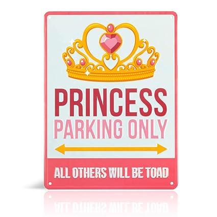 Amazon Com Princess Room Decor Decorative Aluminum Pink