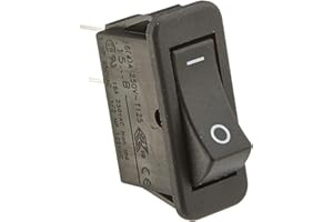 GENERIC 009493F 2-Pin Off-on Rocker Switch Replacement Part for Raypak Pool Heater, R185B-R405B, 6238-090009493F 2-Pin Off-on Rocker Switch Replacement Part for Raypak Pool Heater, R185B-R405B, 6238-090