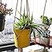 BESTTOYHOME Macrame Plant Hanger Holder -6 Pack Handmade Indoor Outdoor Hanging Planter Basket Rope Holder 3 Sizes with 6 PCS Ceiling Hooks Indoor Hanging Planter Holder