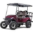 MADJAX Storm Body Kit for EZGO TXT Golf Cart Models | Compatible with 1994-Current E-Z-GO TXT, Valor, T48 (Amethyst Purple Metallic)