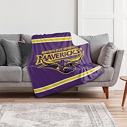 Minnesota State University Mankato