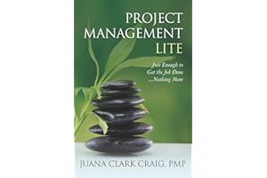 Project Management Lite: Just Enough to Get the Job Done...Nothing More