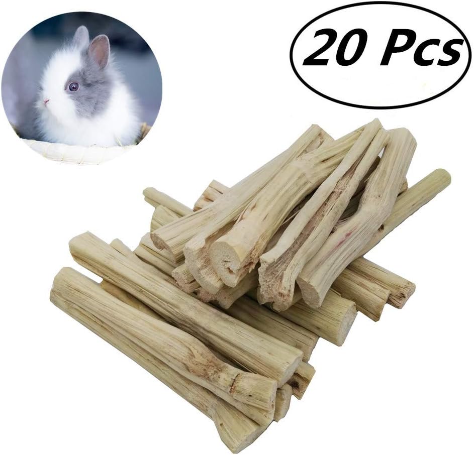 Which Is The Best Genie Pig Treat Sticks