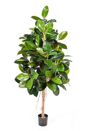 artplants Set 'Kunstbaum Gummibaum + Gratis UV Schutz Spray' - Kunst Ficus Elastica Devi, Naturstamm, grün, 210 cm