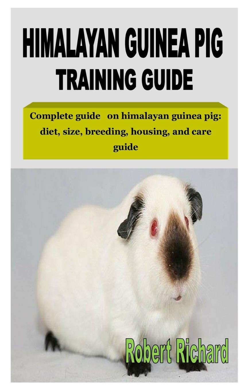guinea pig diet guide