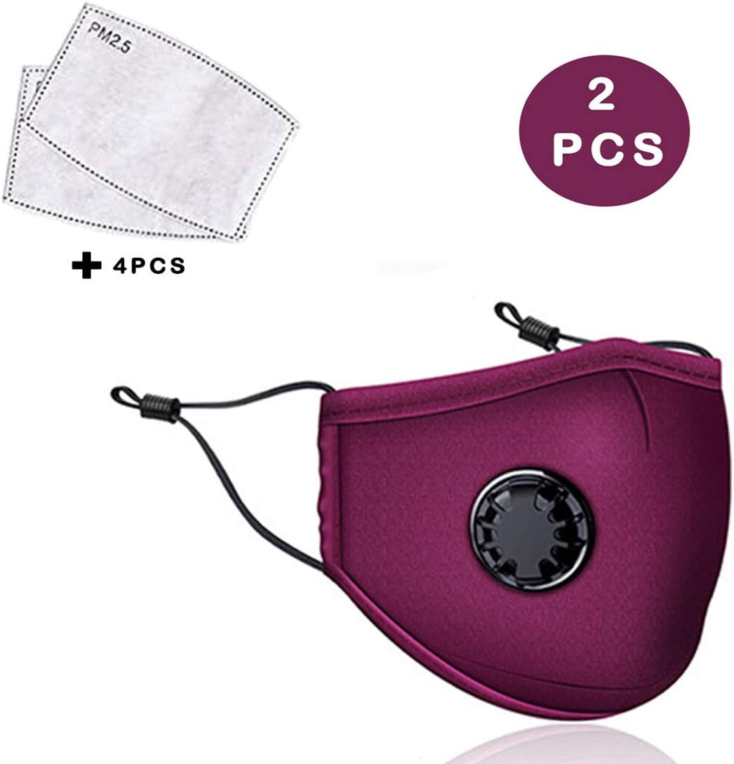 2PC + 4Filter Polyester and Cotton Windproof Foggy Haze Reusable Dustproof, Washable, Reusable Red